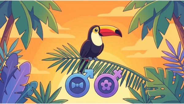 Juego masculino y femenino